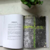 In Plain Sight: Faith Is In The Everyday - Image 3